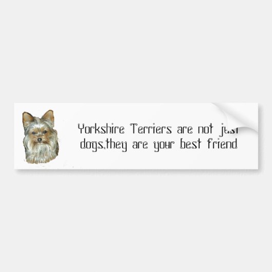 Hund 4, B, Yorkshire-Terrier-Autoaufkleber Autoaufkleber (Vorne)