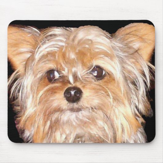 Hund 4, Maus-Pad Mousepad (Vorne)