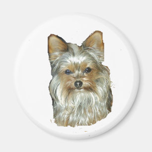 Hund 4B, Yorkshire Terrier, Magnet