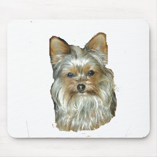 Hund 4B, Yorkshire Terrier, Mousepad (Vorne)