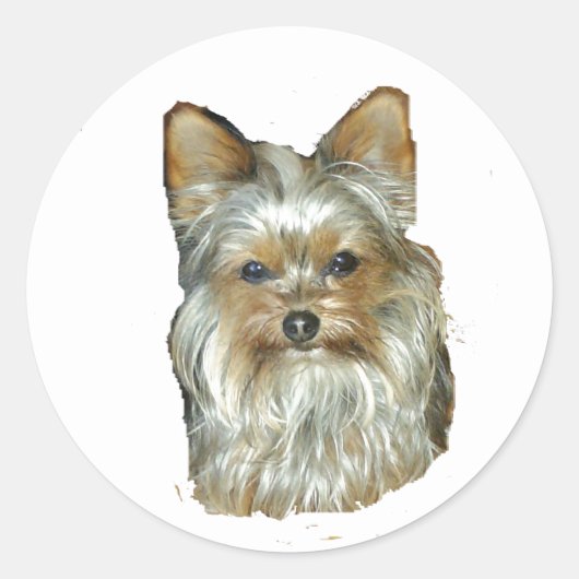 Hund 4B, Yorkshire Terrier, Stickers (Vorderseite)
