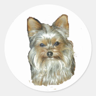 Hund 4B, Yorkshire Terrier, Stickers