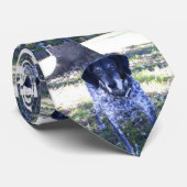 Hund 5, Krawatte (Gerollt)