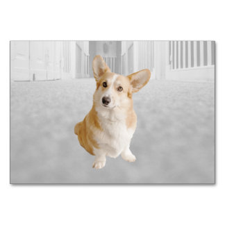 Hund ABA Tact Labeling Flashcard | Picture Card Tischnummer