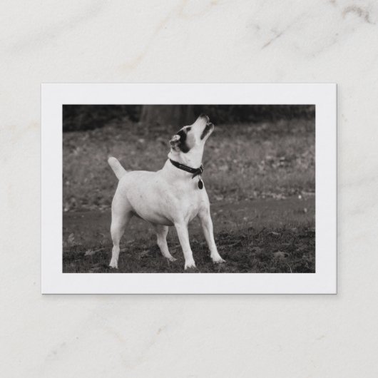 Hund Agog (begrenzt) Visitenkarte (Vorderseite)