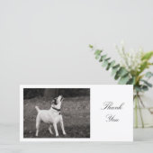 Hund Agog - Danke (Stehend Vorderseite)