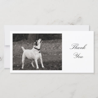 Hund Agog - Danke