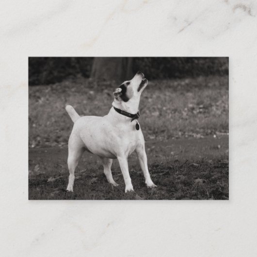 Hund Agog Visitenkarte (Vorderseite)