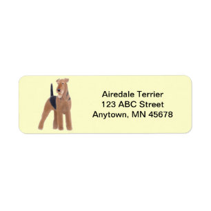 Hund Airedales Terrier kundengerecht