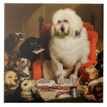 Hund als Richter, der das Gesetz vor Gericht festl