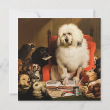 Hund als Richter, der das Gesetz vor Gericht festl