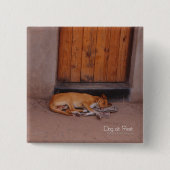 Hund am Erholung Square Button (Vorderseite)