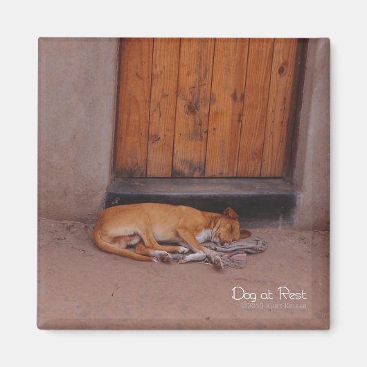 Hund am Erholung Square Magnet (Vorne)