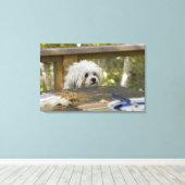Hund am Picknick Leinwanddruck (Insitu (Holzboden))