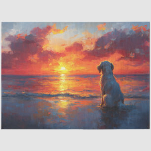 Hund am Strand, der den Sonnenuntergang beobachtet Seidenpapier