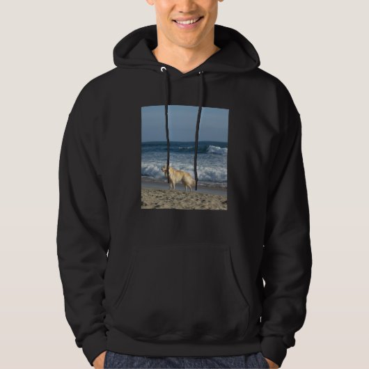 Hund am Strand Hoodie (Vorderseite)