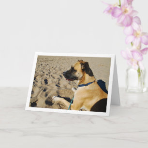 Hund am Strand Karte