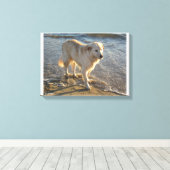 Hund am Strand Leinwanddruck (Insitu (Holzboden))