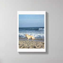 Hund am Strand Leinwanddruck