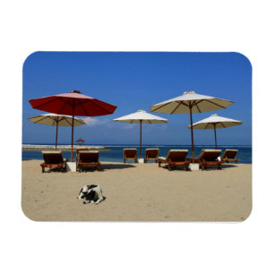 Hund am Strand Magnet