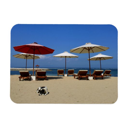 Hund am Strand Magnet (Horizontal)