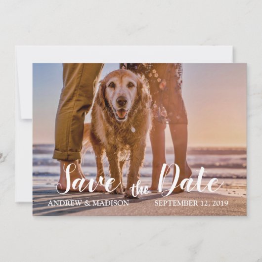 Hund am Strand mit Couple Save the Date Card (Vorderseite)