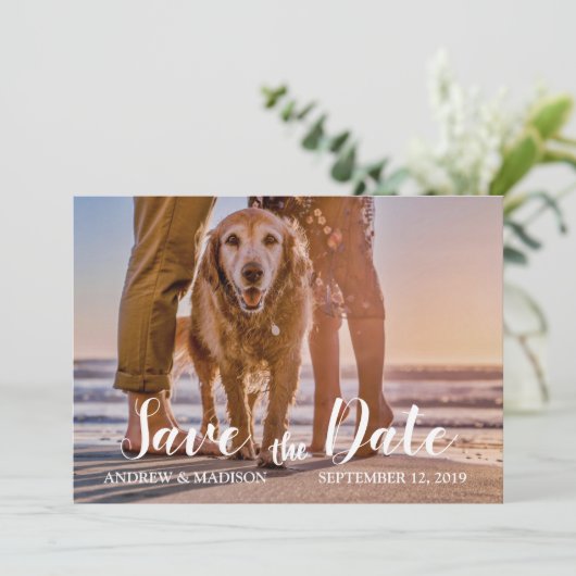 Hund am Strand mit Couple Save the Date Card (Stehend Vorderseite)