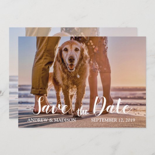 Hund am Strand mit Couple Save the Date Card (Vorne/Hinten)