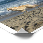 Hund am Strand Poster (Ecke)