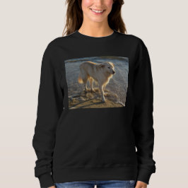 Hund am Strand Sweatshirt