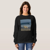 Hund am Strand Sweatshirt (Vorne ganz)