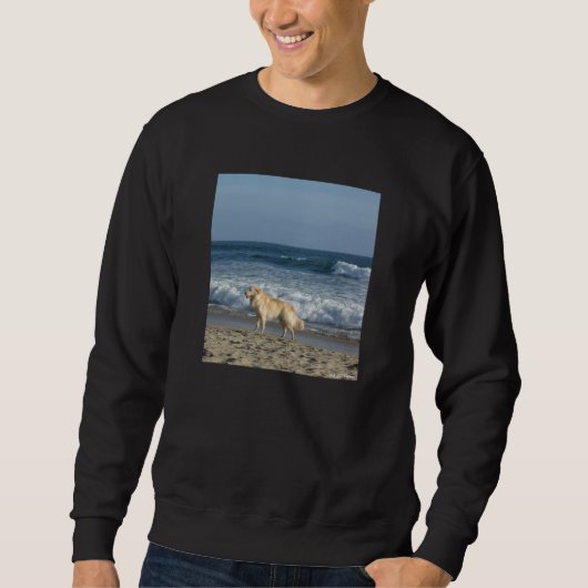 Hund am Strand Sweatshirt (Vorderseite)