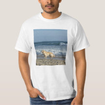Hund am Strand