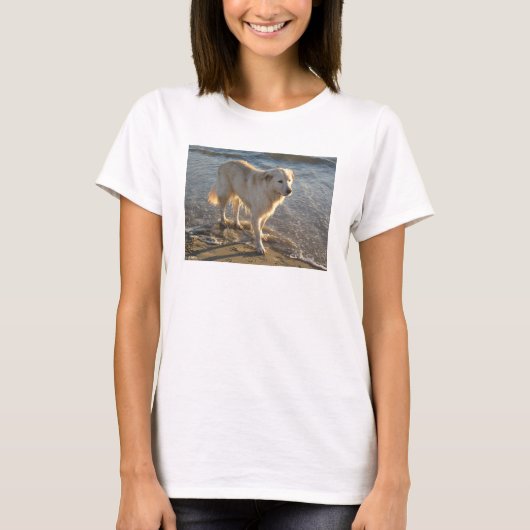 Hund am Strand T-Shirt (Vorderseite)