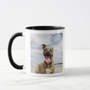 Hund am Strand Tasse