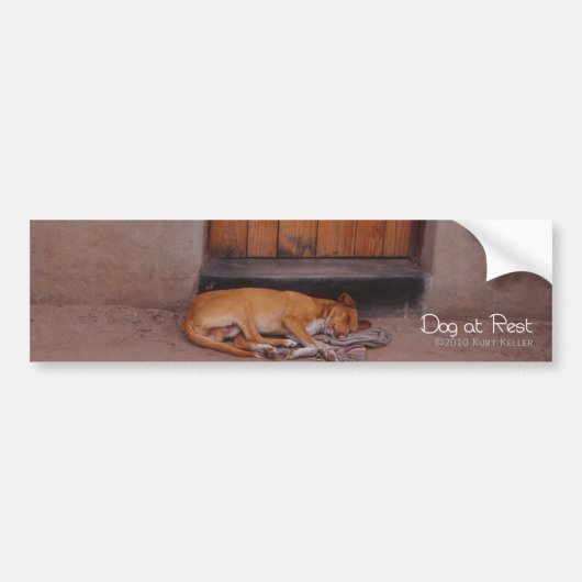 Hund an der Erholung Autoaufkleber (Vorne)