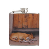 Hund an der Erholung Flachmann (Vorderseite)