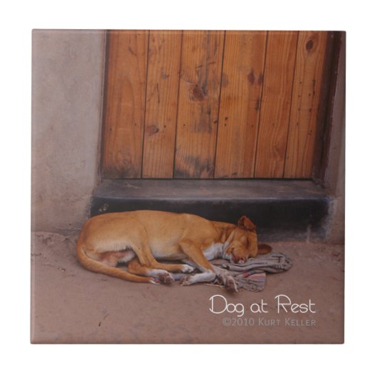 Hund an der Erholung Fliese (Vorderseite)