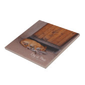 Hund an der Erholung Fliese (Seite)