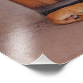 Hund an der Erholung Fotodruck (Ecke)