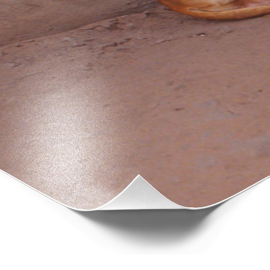 Hund an der Erholung Fotodruck (Ecke)