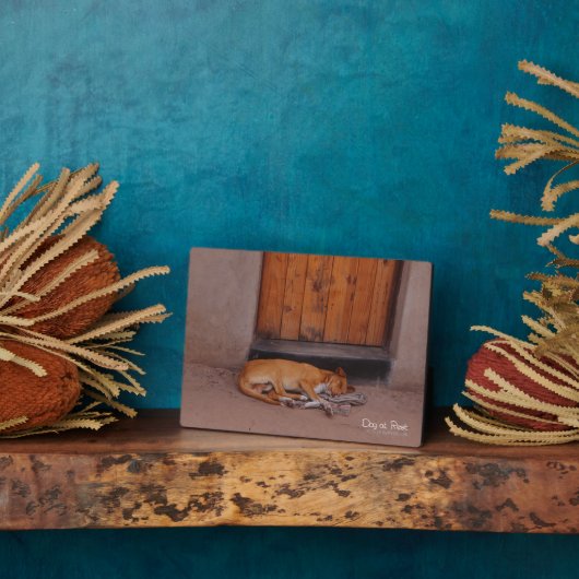 Hund an der Erholung Fotoplatte (Seite)