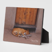 Hund an der Erholung Fotoplatte (Seite)