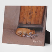 Hund an der Erholung Fotoplatte (Seite)