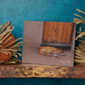 Hund an der Erholung Fotoplatte (Seite)