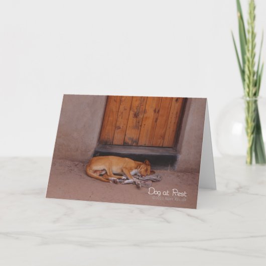 Hund an der Erholung Karte (Vorderseite)