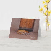 Hund an der Erholung Karte (Gelbe Blume)