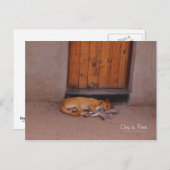 Hund an der Erholung Postkarte (Vorne/Hinten)