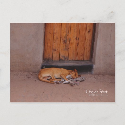 Hund an der Erholung Postkarte (Vorderseite)