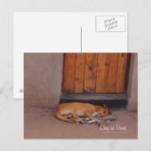 Hund an der Erholung Postkarte (Vorne/Hinten)